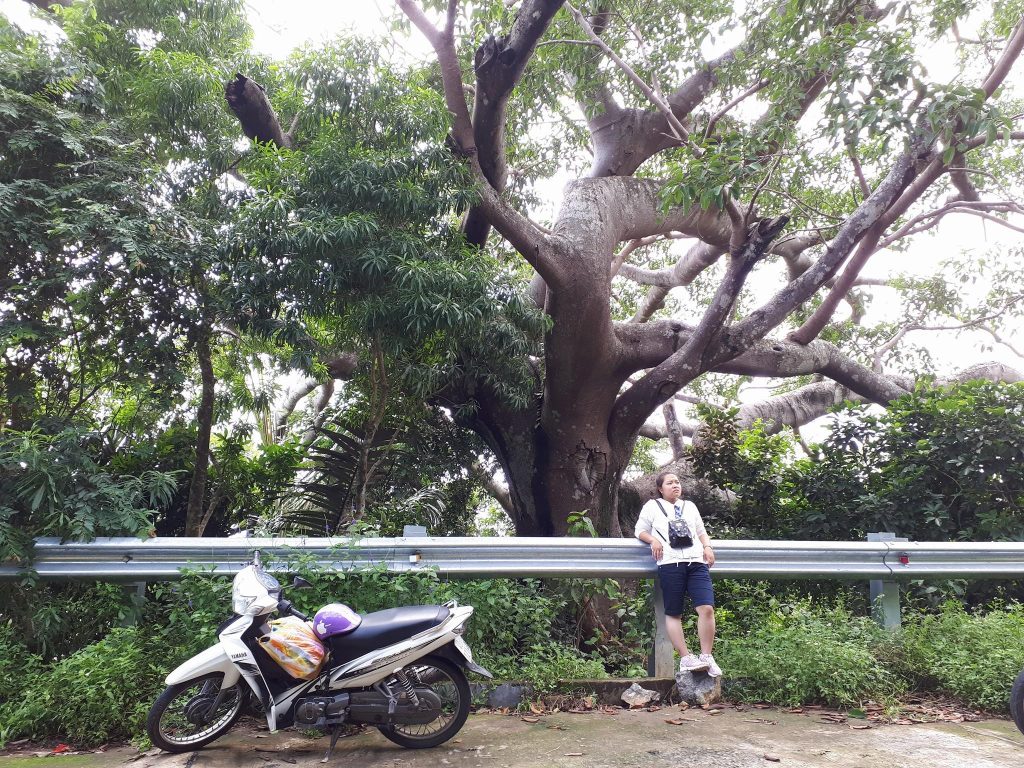 Cứ “bình yên” vậy thôi, 24 ak?